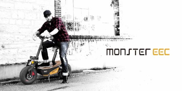 SXT Mofa  Monster EEC – Bild 14